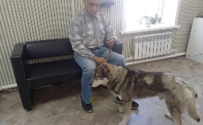 Происшествия