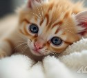 Часть Южно-Сахалинска проведёт 2 июня без отопления