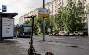 Общество