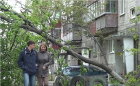 Происшествия