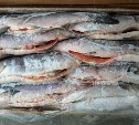 Рыбы на 300 млн рублей незаконно вывез бизнесмен с Сахалина в Японию 