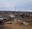 Около двух тысяч свалок устранили на Сахалине и Курилах в этом году 