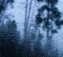 Дожди и грозы принесёт циклон на Сахалин