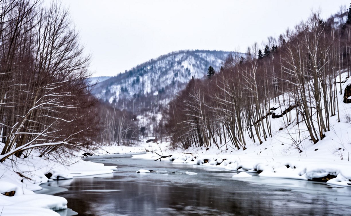 В Северо-Курильске снег, в Южно-Сахалинске дождь: прогноз погоды на 23 марта