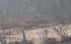 Общество