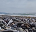 Похолодает, временами дождик: погода на Сахалине и Курилах на 19 августа 
