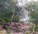 "Деревья съезжают на глазах": сахалинец расчищал заваленную ветками дорогу, чтобы добраться до Бошняково