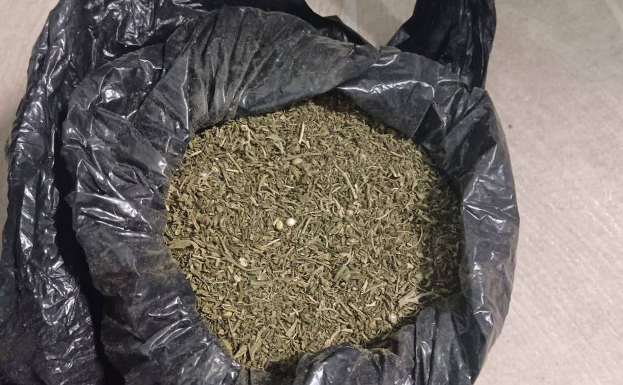 В квартире у жителя Санаторного нашли пакеты с марихуаной и гашишным маслом