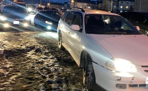 Общество