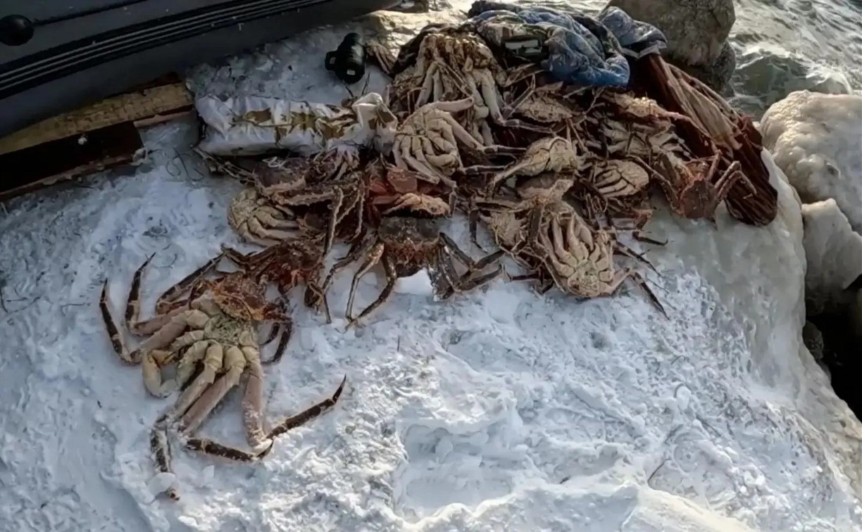 Двум браконьерам вынесли приговор за установку "своих крабовых порядков" в Татарском проливе 