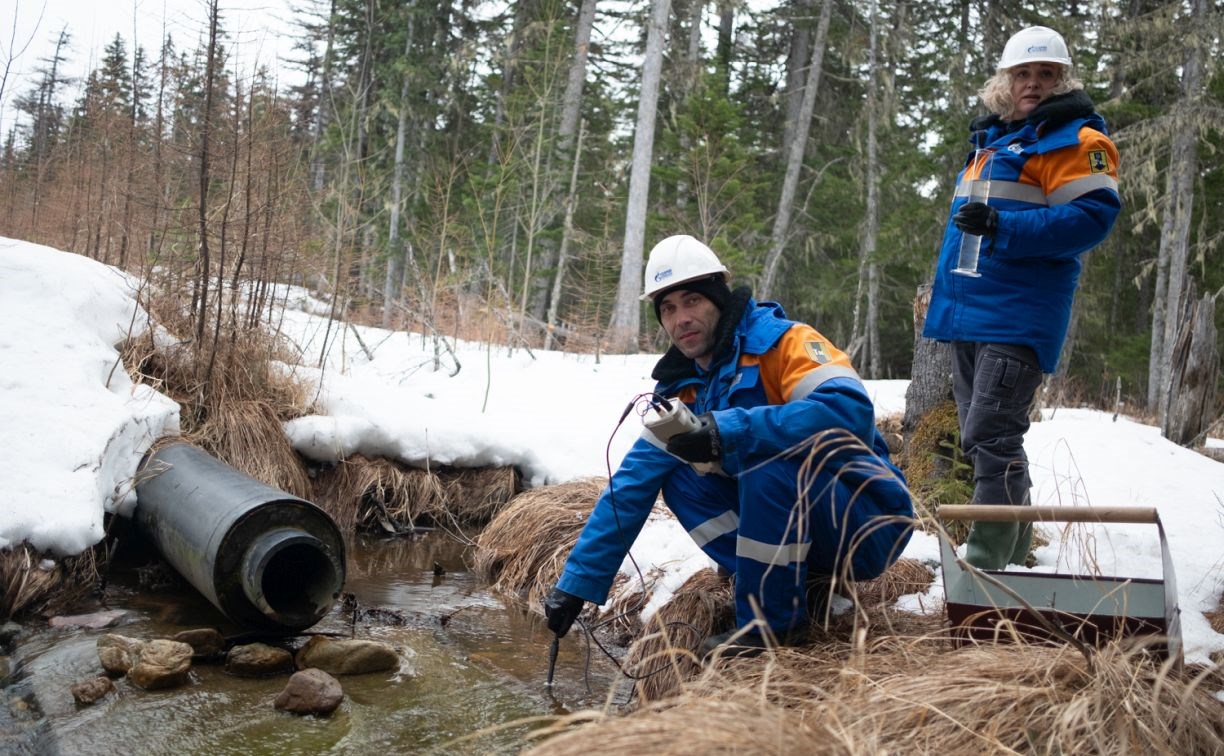 "Газпром добыча шельф Южно-Сахалинск" подвёл итоги производственного экоконтроля за 2025 год