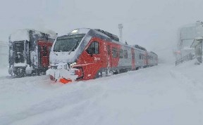 Общество