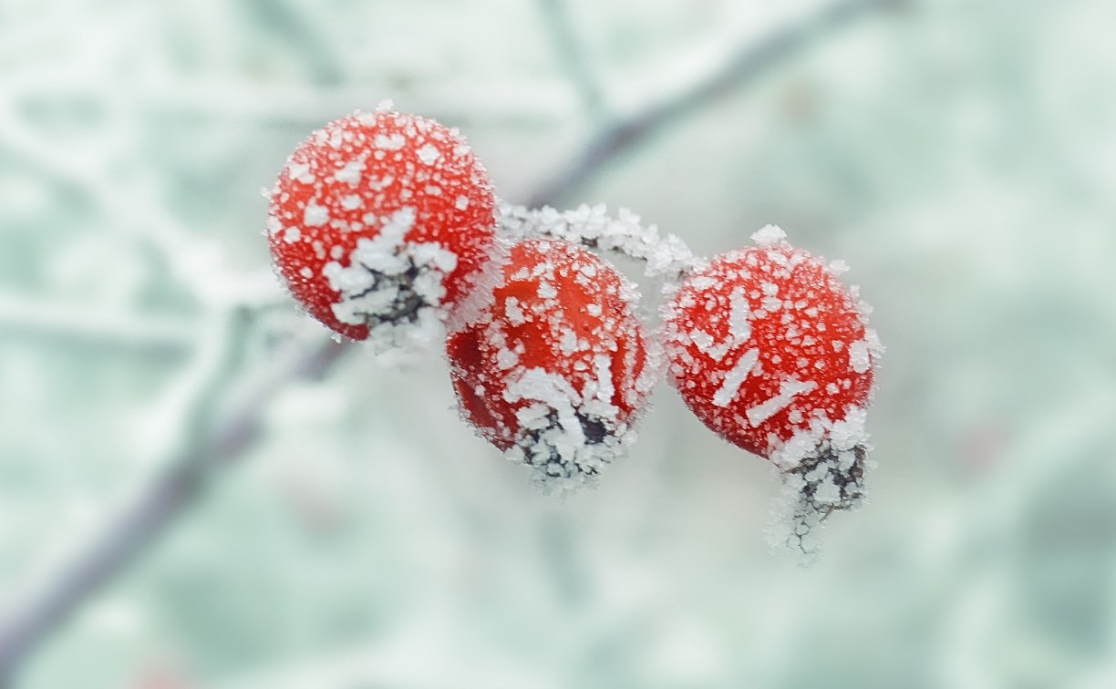 Утром гололедица, днем до +3°: уточненный прогноз погоды для Сахалина и Курил на субботу 