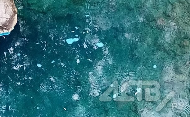 "В воде - дохлые мальки": на Сахалине река опять внезапно стала ярко-синей