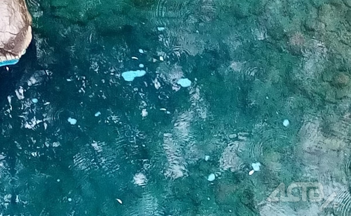 "В воде - дохлые мальки": на Сахалине река опять внезапно стала ярко-синей