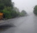 Сильный дождь обрушится на юг Сахалина 12 июня 