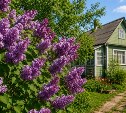 Снял стекло и проник в дом: на Сахалине "домушник" оставил бабушку без ТВ и перфоратора