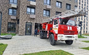 Происшествия
