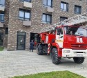 Стали известны подробности спасения собаки с 10-го этажа дома в Южно-Сахалинске