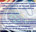 Сахалинских студентов приглашают на работу в стройотряды