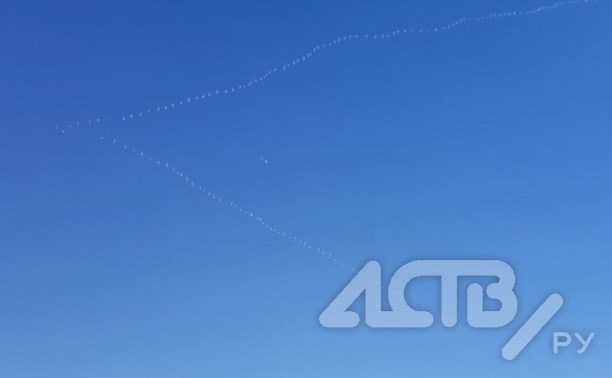 Огромнейшая стая лебедей пролетела над Тымовским районом