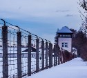 ФСИН запустила новый сервис о применении пробации на портале "Госуслуги" 