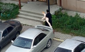 Общество