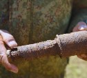 Сапёры ВВО очистили 28 гектаров острова Шумшу от взрывоопасных предметов