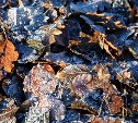 Ещё немного снега: актуальный прогноз погоды на юге Сахалина 23 октября