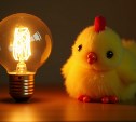 Сахалинские энергетики предупредили о плановых отключениях света на 11 августа