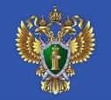 Холмчанка избила землячку и получила штраф
