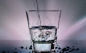Общество