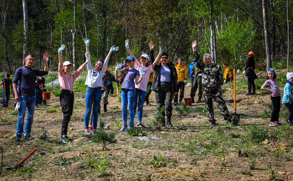 Сотни сахалинцев приняли участие во Всероссийской акции посадки леса