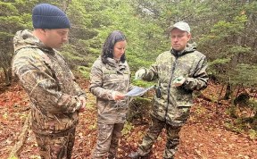 Общество