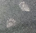 Медведь зашел на игровую площадку во двор пятиэтажки в Южно-Сахалинске и сломал ограждение 