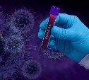 На Сахалине за сутки у 57 человек выявили заражение вирусом COVID-19