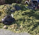 "Очень странная ситуация": огромную кучу скошенной травы вывалили у дома в Южно-Сахалинске