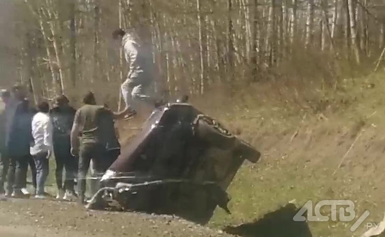 Очевидцы: бегающая по дороге собака стала причиной жёсткого ДТП на Сахалине  - Новости Сахалинской области. Происшествия - astv.ru