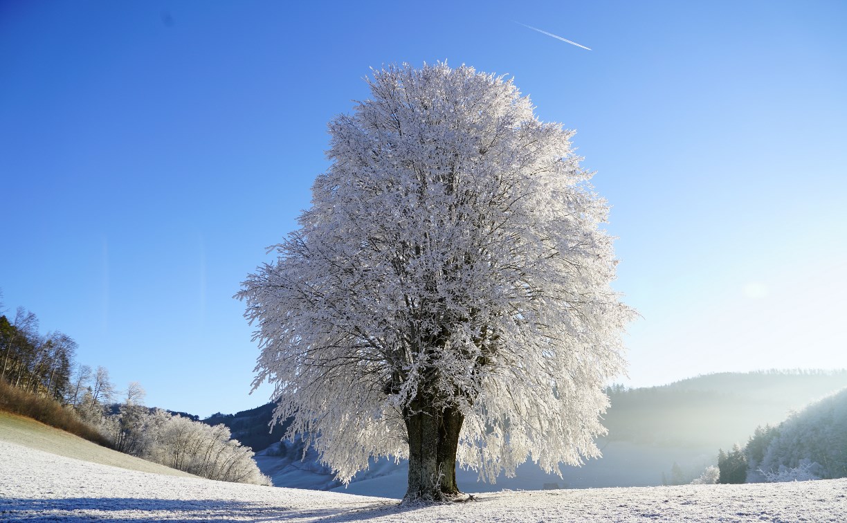 Воздух на юге Сахалина прогреется до +4 градусов