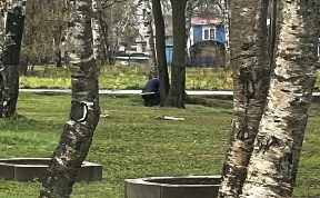 Общество