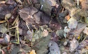 Происшествия