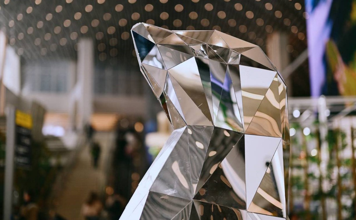 Сивуч без имени: конкурс на кличку для талисмана организовал аэровокзал Южно-Сахалинска