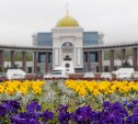В Южно-Сахалинске идёт прием заявок на участие в конкурсе "Цветущий Южный"