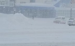 Общество