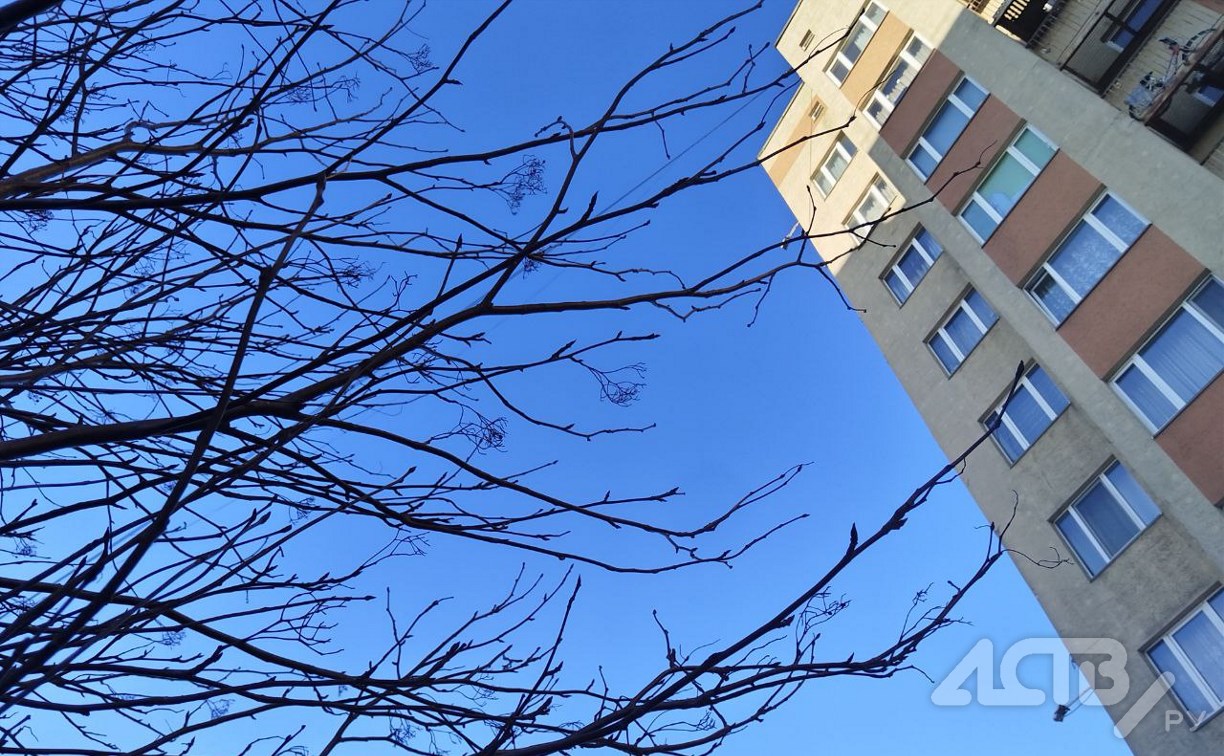 Небольшие осадки и туман: чего ждать от погоды на юге Сахалина 23 марта