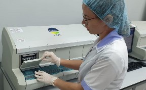 Общество