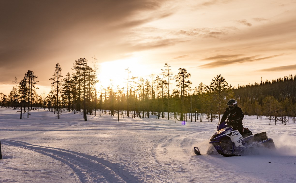Сахалинца обманули на деньги при покупке снегохода