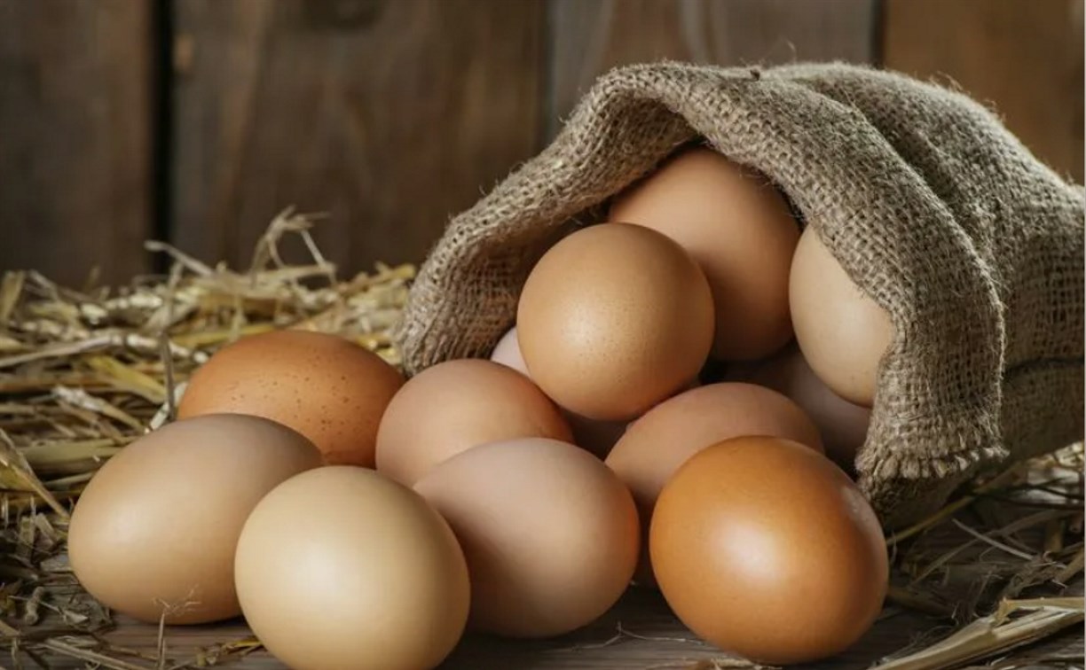 В России отметили тенденцию к снижению цен на куриные яйца 