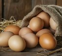 В России отметили тенденцию к снижению цен на куриные яйца 