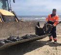 Городской пляж на Сахалине очистили от мёртвых птиц